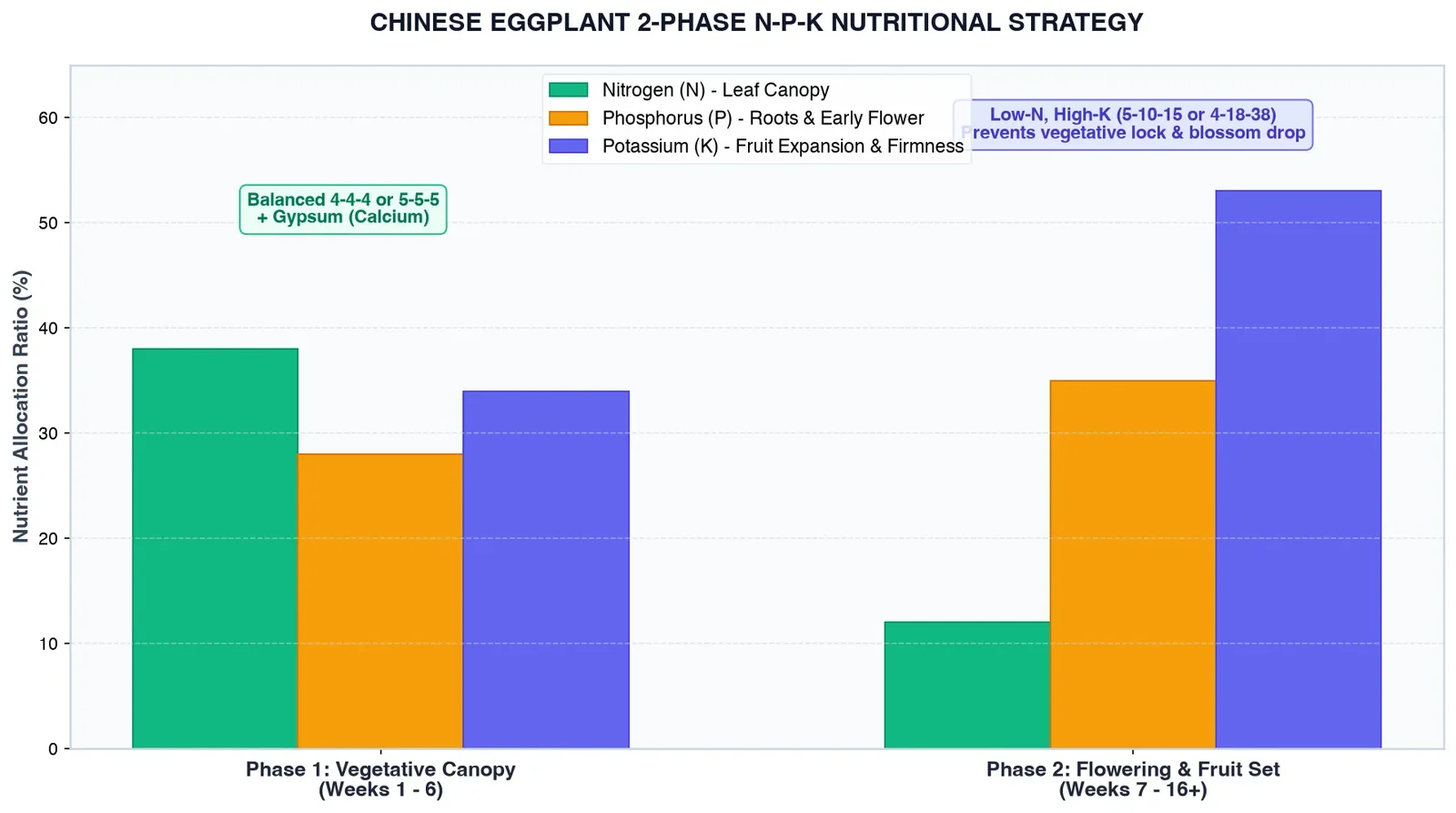 Bar chart illustrating the 2-phase fertilizer shift from balanced vegetative nitrogen to high-potassium fruiting feed for Chinese eggplant
