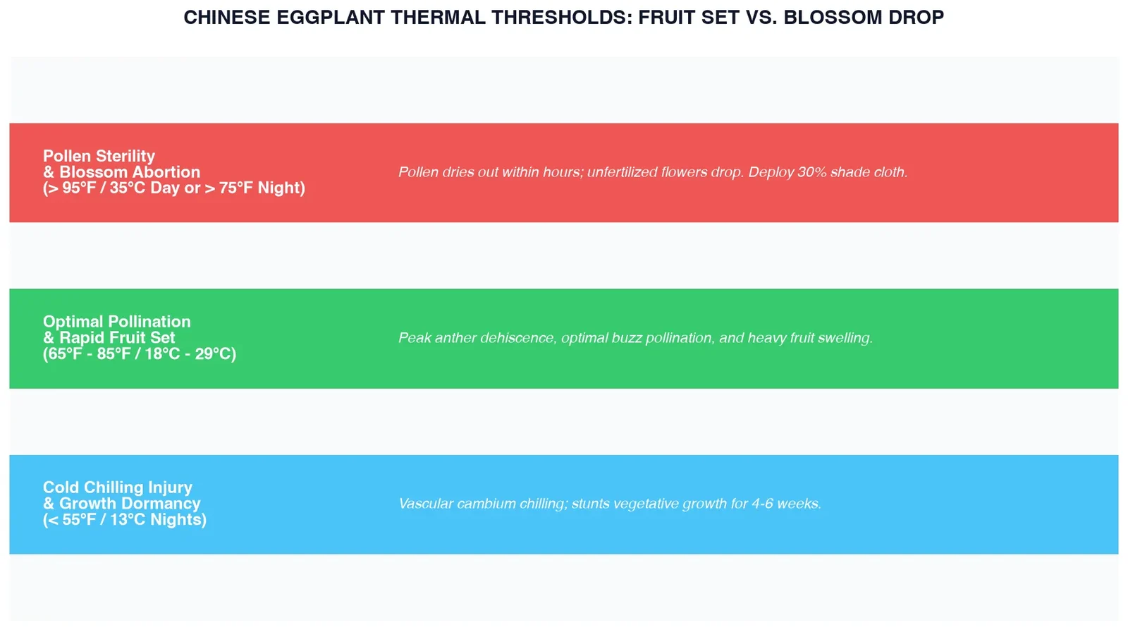 Infographic chart showing temperature zones for eggplant fruit set, chilling injury below 55F, and blossom drop above 95F