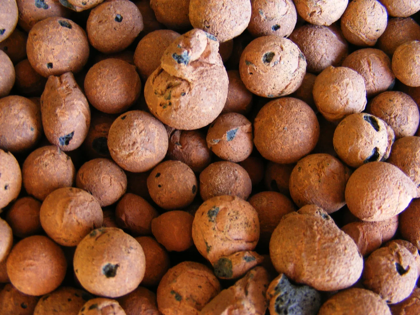 Kiln-fired expanded clay pebbles LECA Hydroton in net cup for indoor hydroponic rooting
