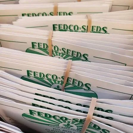 Bundles of white and green Fedco Seeds paper packets secured with rubber bands, showing the cooperative logo