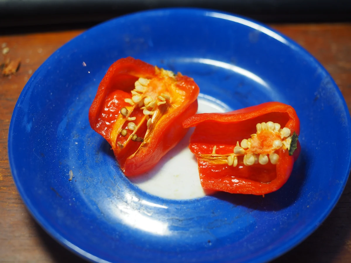 Fresh habanada pepper sliced in half showing internal seed core and crisp walls with zero heat