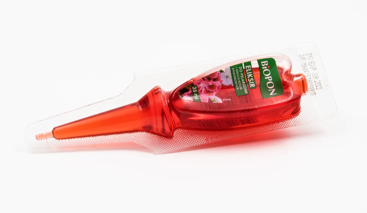 Dilute organic liquid fertilizer and kelp solution prepared for feeding indoor container strawberries