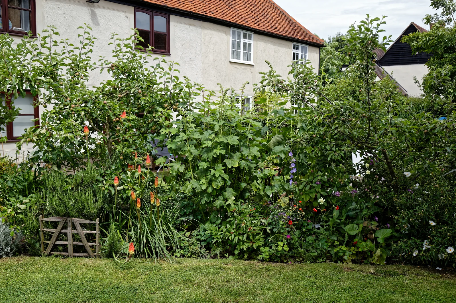 Enchanting traditional English cottage garden mixed flower border bursting with fragrant heritage blooms