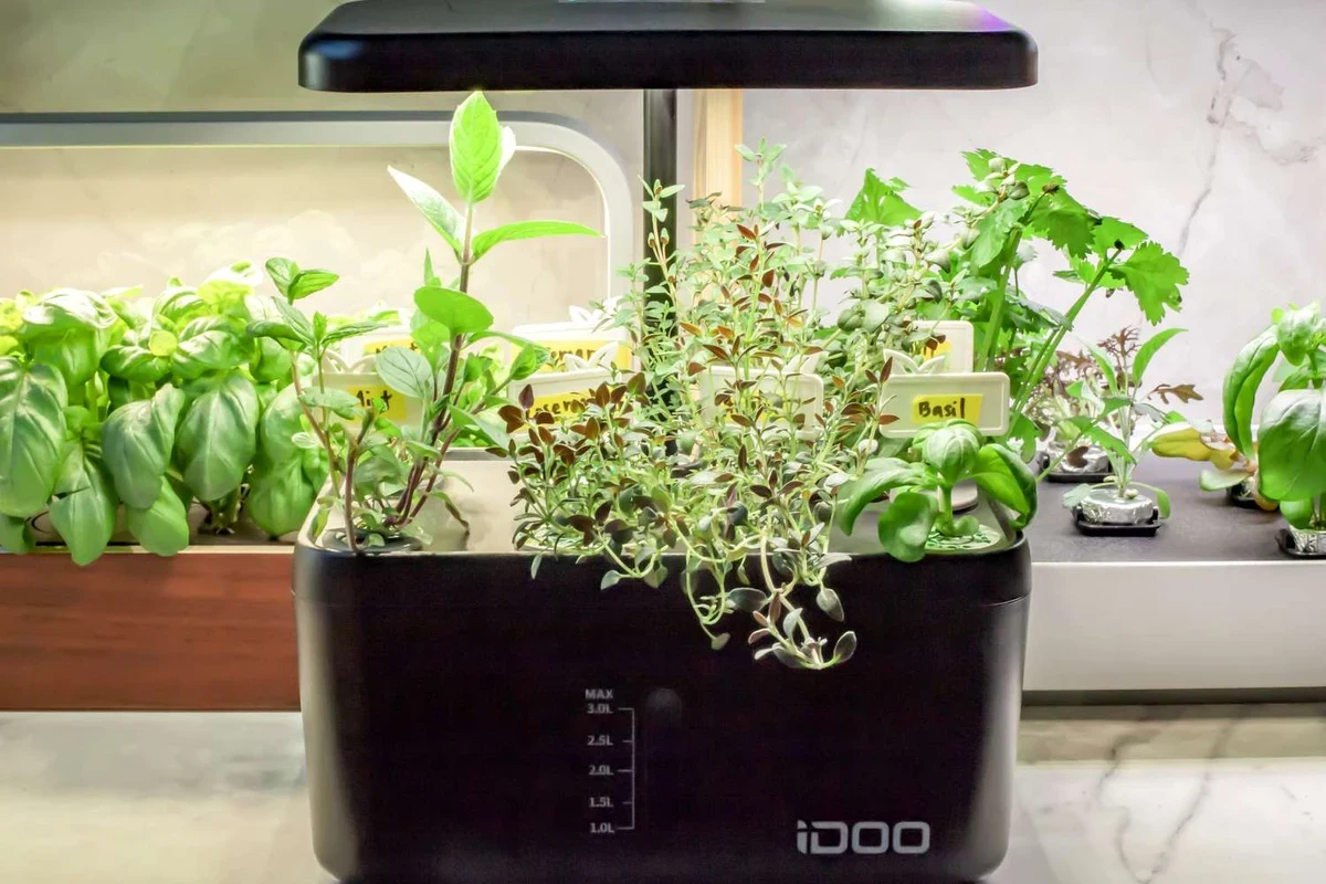 Indoor herb garden systems bench tested side-by-side on kitchen countertop with lush culinary herbs under full spectrum LED grow lights